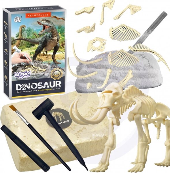 Dino opgraaf set. Graaf een skelet van een dinosaurus op.