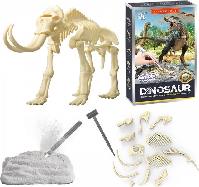 Speelgoed opgraaf set dinosaurus